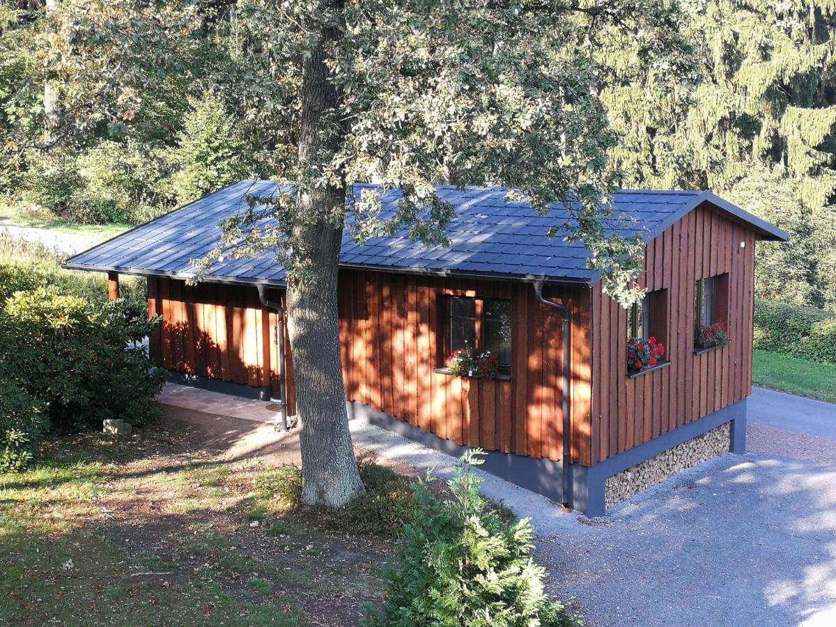 דירות Altenberg Haus Waldfrieden מראה חיצוני תמונה